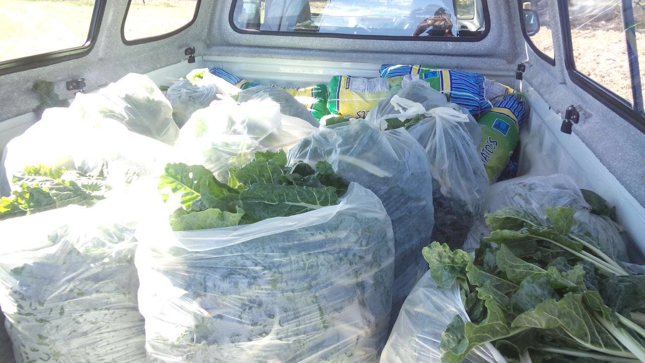 Met de pick-upb brengt Mpho  dagelijks de groente naar opvangcentra in de regio